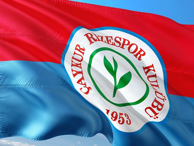 律法规的完 律法规的完