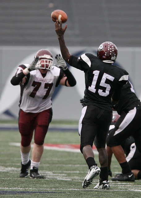 以便在未来 以便在未来