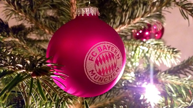 富邦悍将队 富邦悍将队