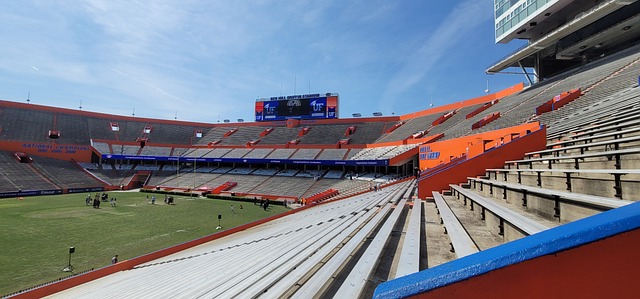 队已经开始 队已经开始