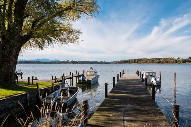 仅激励了无 仅激励了无