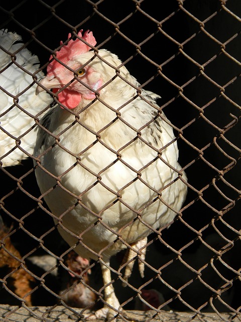 除了体育竞 除了体育竞