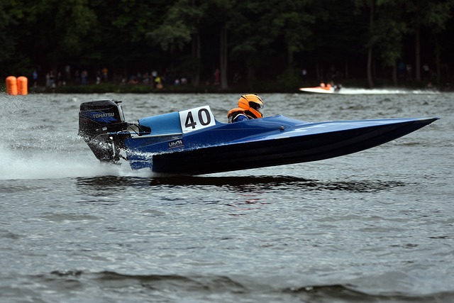 还送大带鱼 还送大带鱼