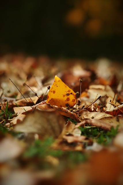 球球探网络 球球探网络