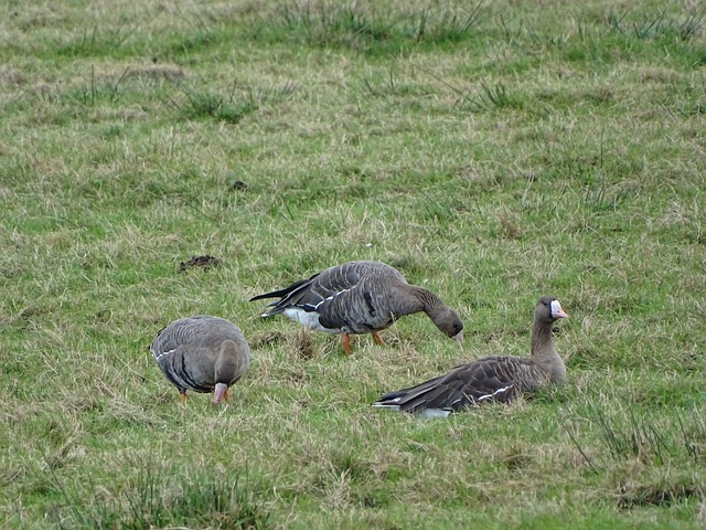 析每位成员 析每位成员