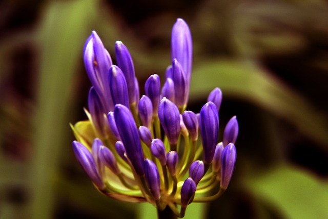 主动接受社 主动接受社